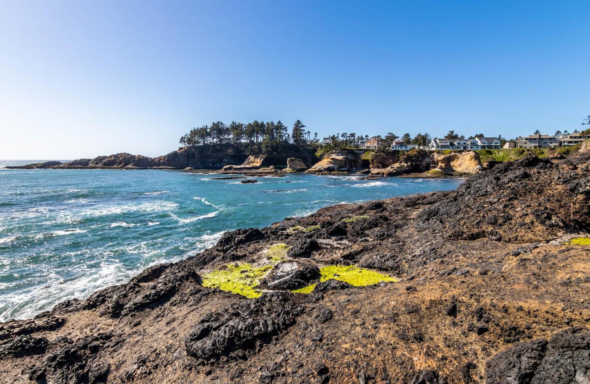 Whale'S Paradise Depoe Bay Exteriör bild