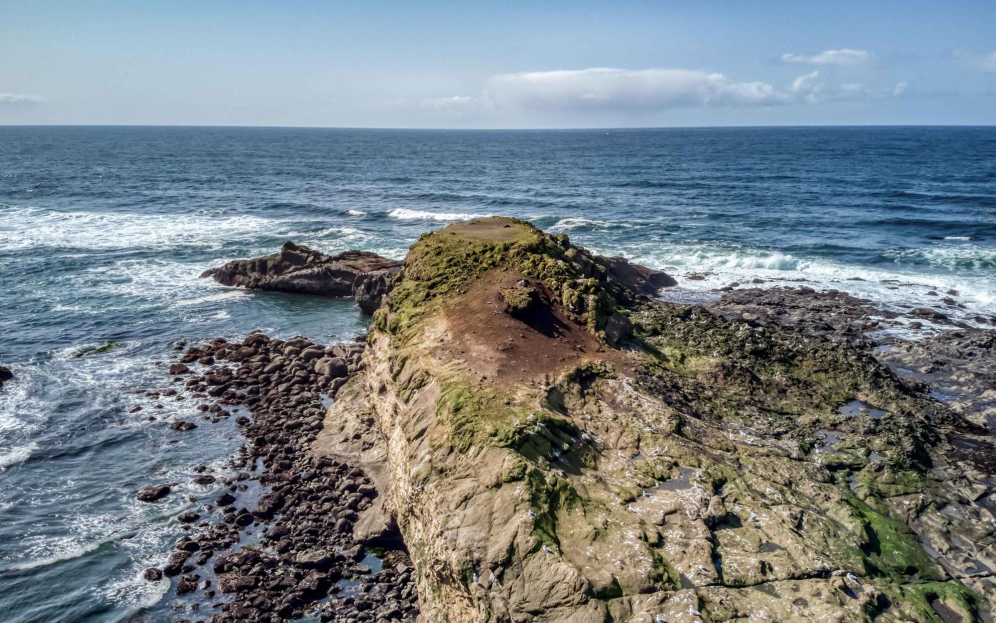 Whale'S Paradise Depoe Bay Exteriör bild